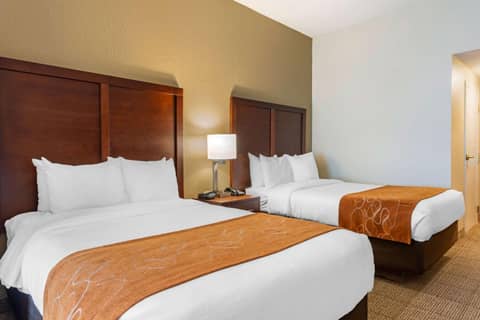 Comfort Suites Downtown — photo 2