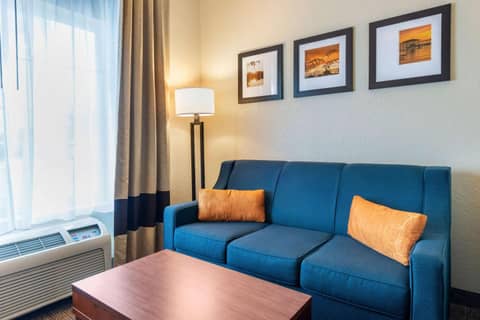 Comfort Suites Downtown — photo 4
