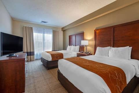 Comfort Suites Downtown — photo 9