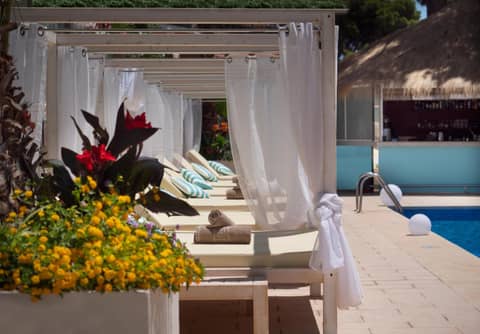 INN Mallorca Aparthotel — recepcion & lobby