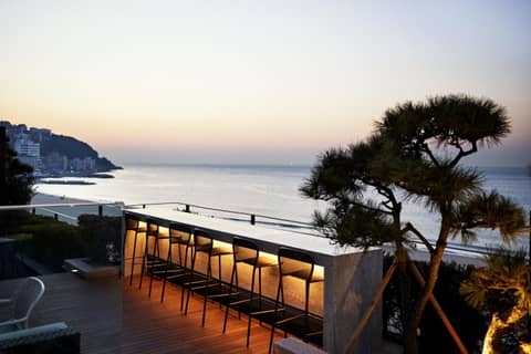 Paradise Hotel Busan — photo 4