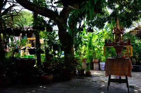 Ban To Guesthouse — other