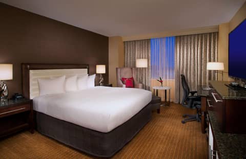 Hilton Minneapolis — photo 2