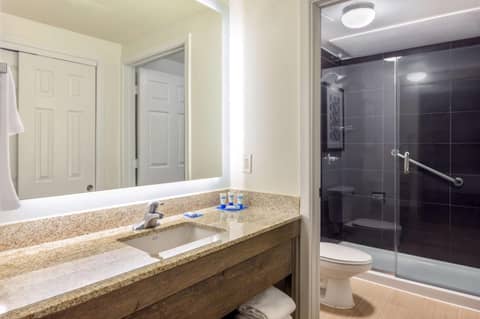 Hyatt House Houston Galleria — photo 2