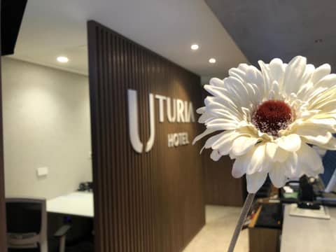 Hotel Turia Valencia — photo 4