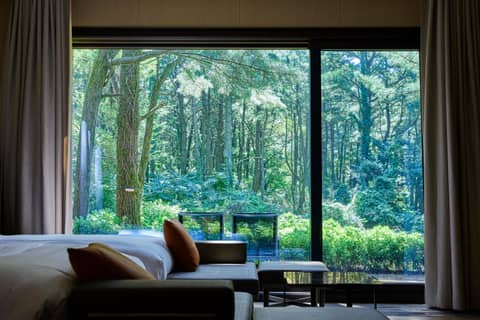 Amber Pure Hill Hotels & Resorts Jeju — photo 6