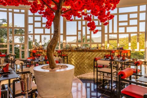 Hotel Mousai - Adults Only Puerto Vallarta — photo 4