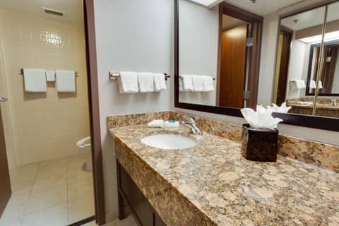 Drury Inn & Suites San Antonio Northeast — photo 8