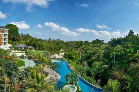 The Westin Resort & Spa Ubud, Bali — photo 6