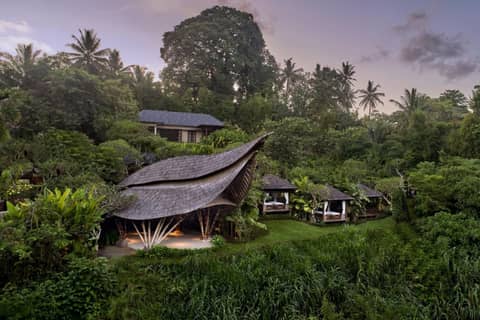 The Westin Resort & Spa Ubud, Bali — photo 8