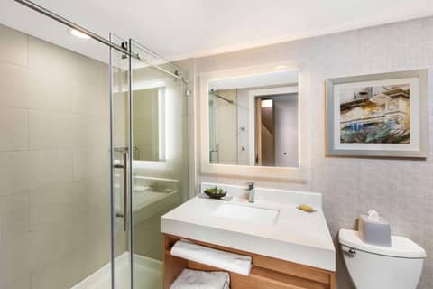 DoubleTree by Hilton San Antonio Northwest - La Cantera — photo 4