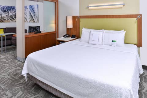 Springhill Suites by Marriott Detroit Metro Airport Romulus — photo 9