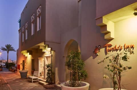 Turtle's Inn Hotel — photo 2