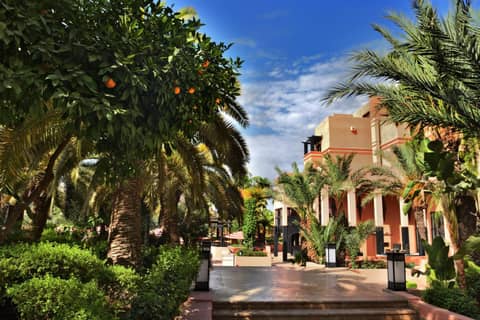 Mövenpick Hotel Mansour Eddahbi Marrakech — photo 7
