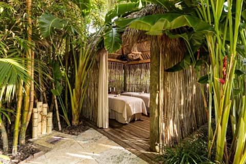 The Palms Hotel & Spa — activities & amenities