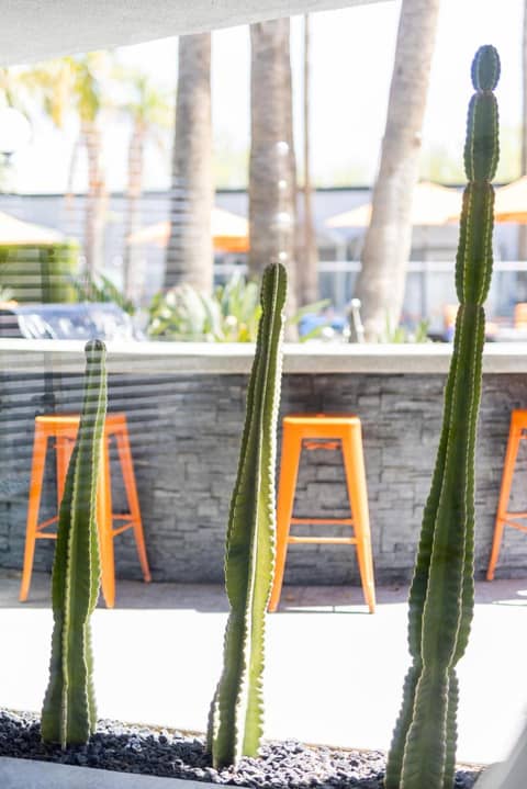 The Palm Springs Hotel — photo 5