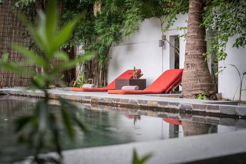 Maison 557 — recepcion & lobby
