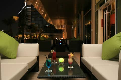 Yas Plaza Circuit — photo 6