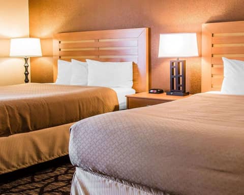 Quality Inn & Suites Warren - Detroit — photo 3
