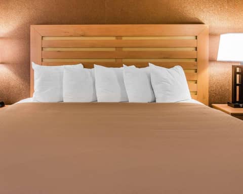 Quality Inn & Suites Warren - Detroit — photo 7