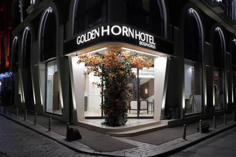 Golden Horn Bosphorus Hotel — photo 9