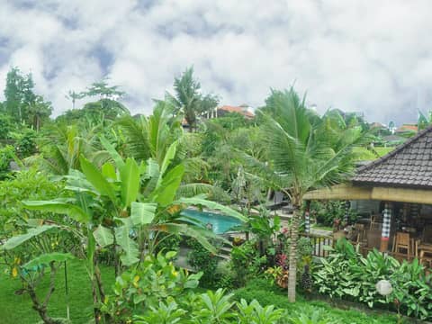 Bucu Guest House — recepcion & lobby