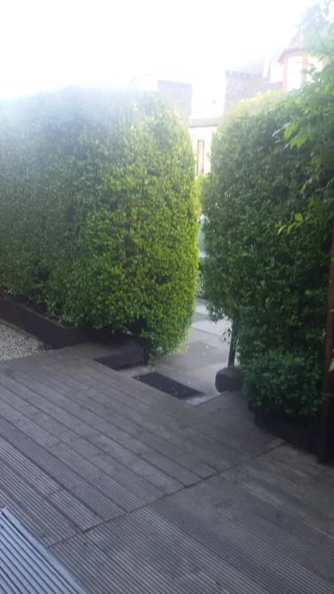 Cambridge House — photo 8