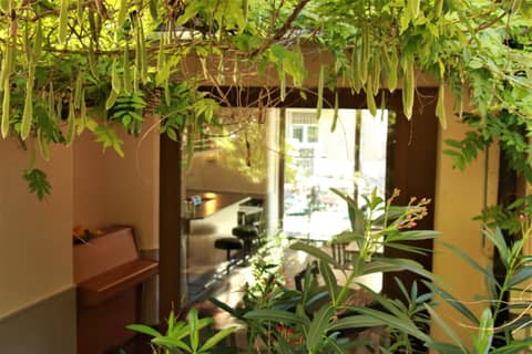 Hotel Neufeld — balance & terrace