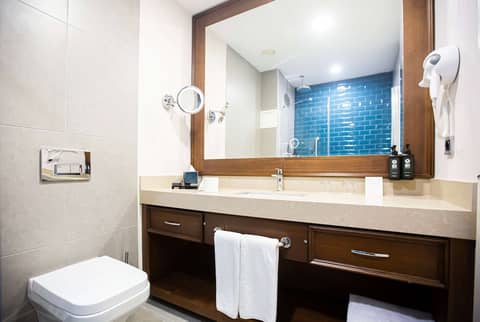 Ramada Plaza By Wyndham Istanbul Sultanahmet — photo 5