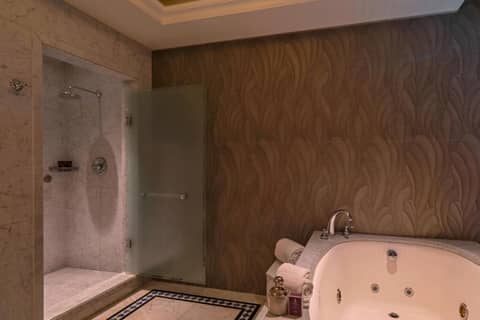 The Ritz-Carlton Santiago — photo 3