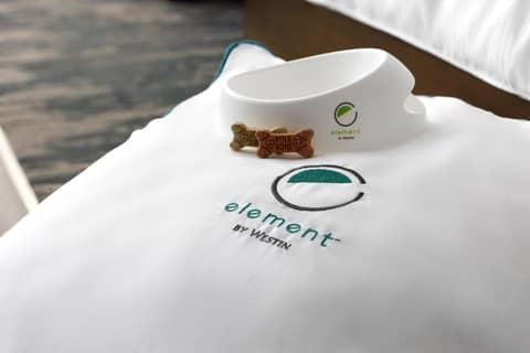 Element by Marriott Anaheim Resort Convention Center — photo 3