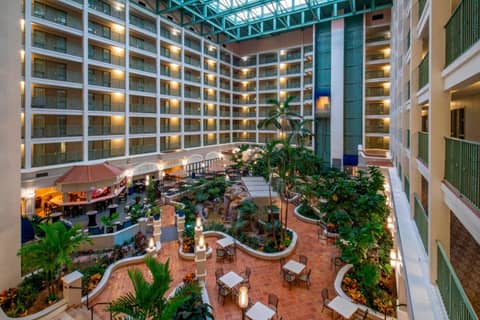 Sheraton Suites Fort Lauderdale at Cypress Creek — photo 4