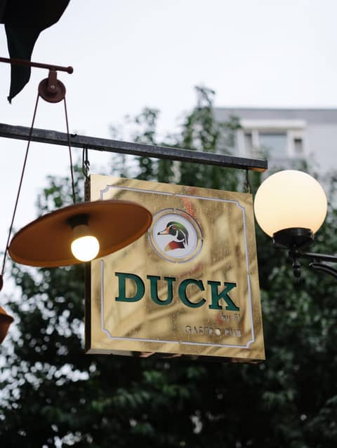 Duck Otel — photo 6