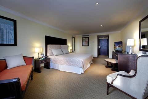 Dominican Fiesta Hotel — hotel room