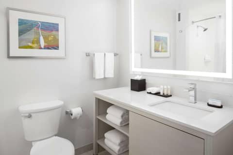 Embassy Suites by Hilton Tampa Airport Westshore — bathroom