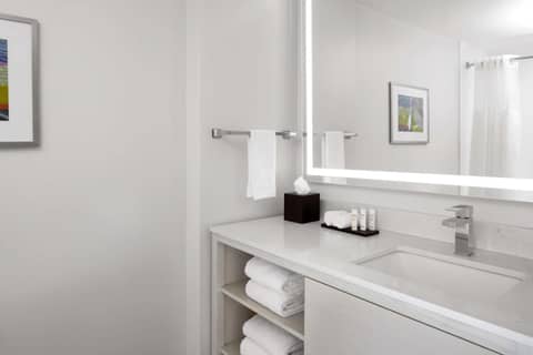 Embassy Suites by Hilton Tampa Airport Westshore — bathroom