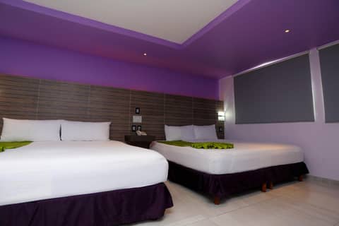 Hotel Kavia — photo 4