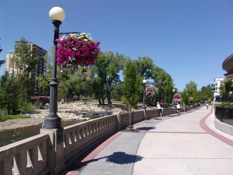 Plaza Resort Club Reno — photo 6
