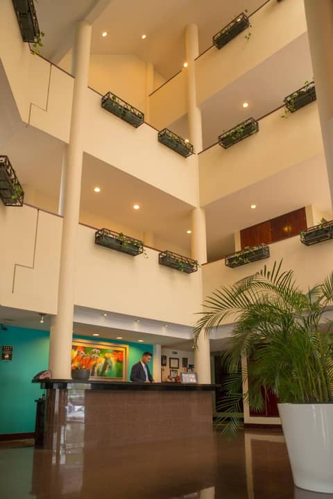 Hotel Palma Real — photo 2