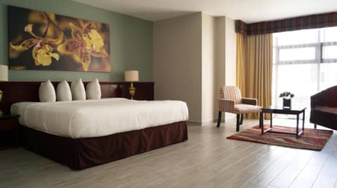 Hotel Palma Real — photo 5