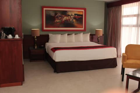 Hotel Palma Real — photo 8