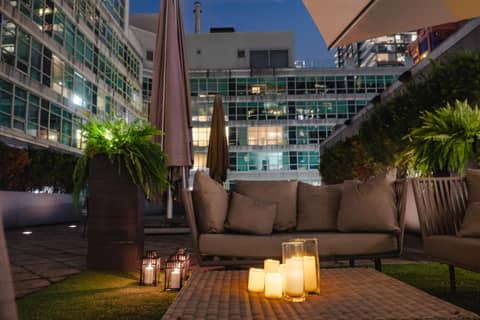 SoHo Hotel Toronto — photo 2