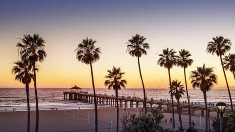 Holiday Inn Los Angeles - LAX Airport by IHG — photo 4