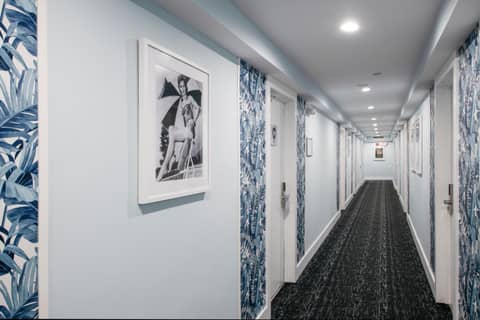 Penguin Hotel — photo 7