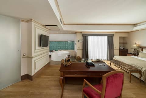 Holiday Inn Istanbul Old City by IHG — photo 6