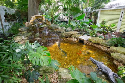 Island City House — activities & amenities