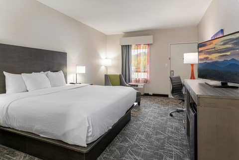 Quality Inn Asheville Downtown Tunnel Rd — photo 5
