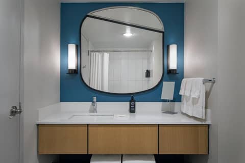 Hotel Landy Orlando Universal Blvd, a Tribute Portfolio Hotel — bathroom