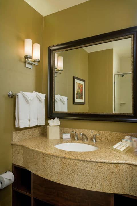 Hilton Garden Inn Phoenix Airport North — photo 7