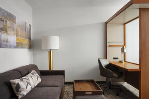 SpringHill Suites by Marriott Pittsburgh Mt. Lebanon — photo 3
